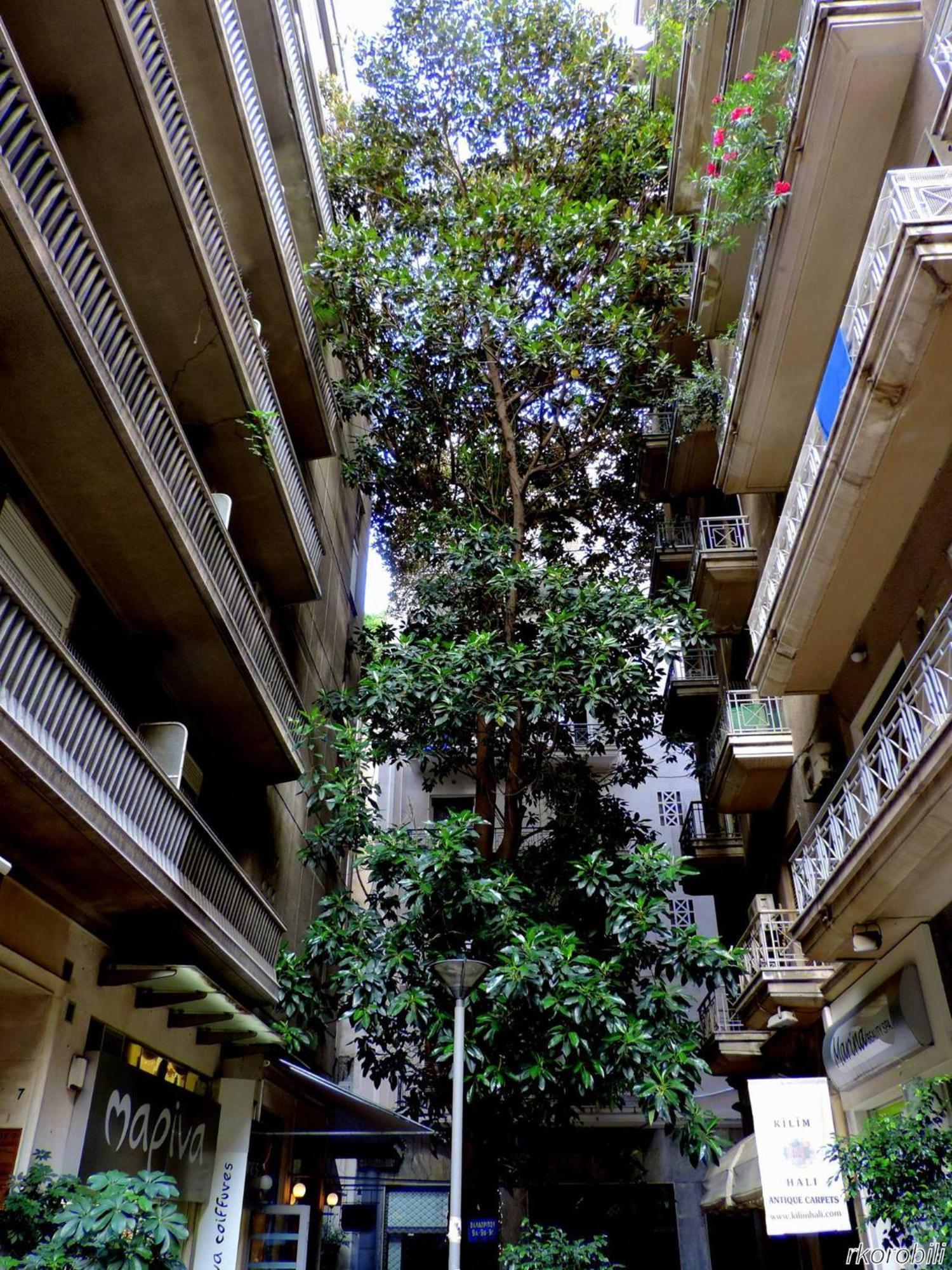 Stay At Premium Syntagma Location - Experience 1 เอเธนส์ ภายนอก รูปภาพ
